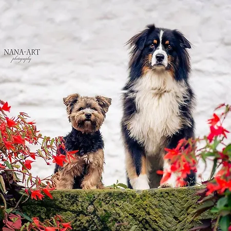 Szálloda Restaurant Jaegerhof Düren - Eifel