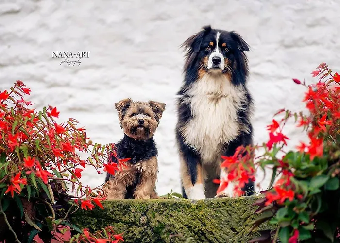 Hotel Restaurant Jaegerhof Düren - Eifel